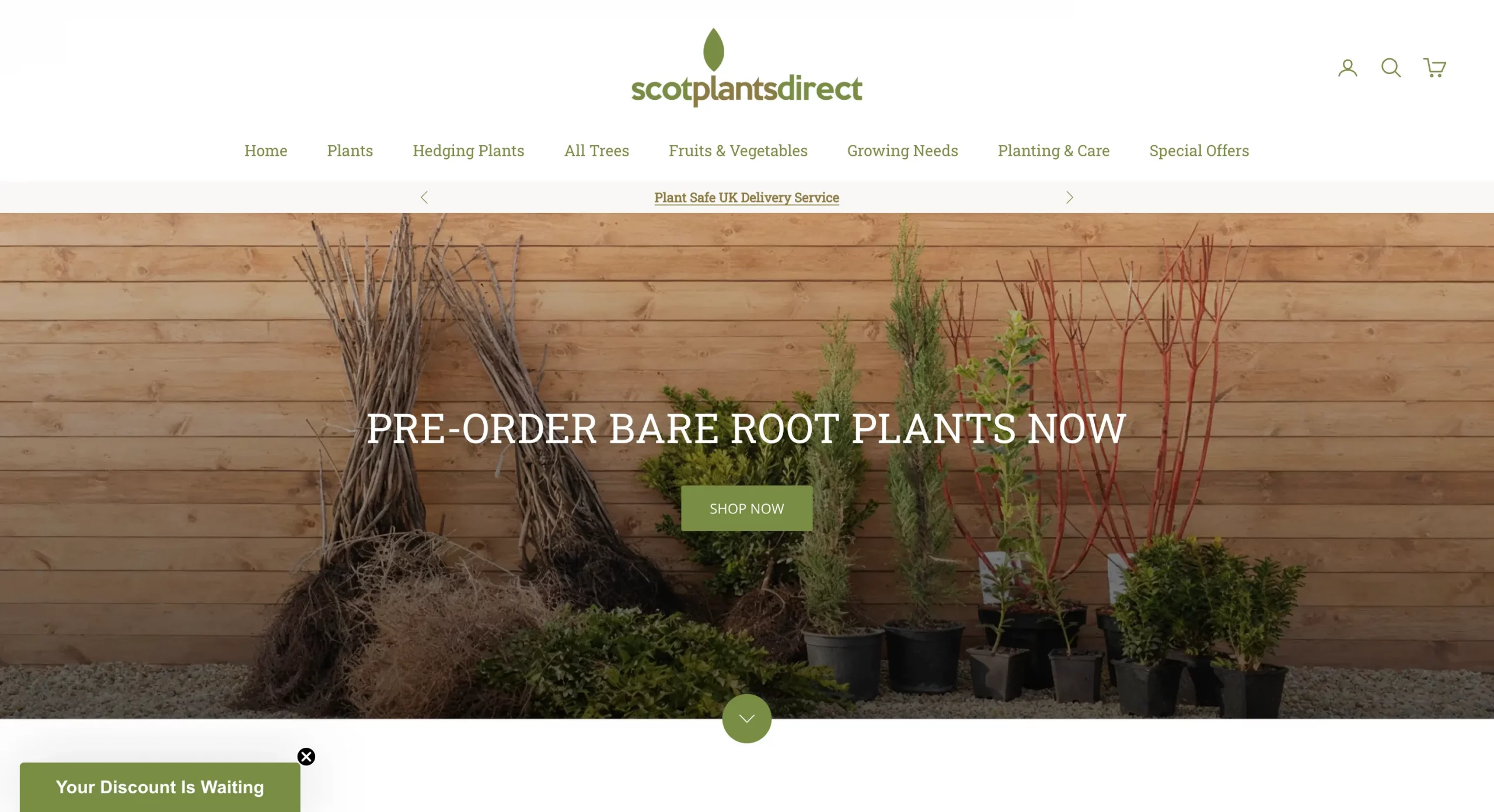 scotplantsdirect